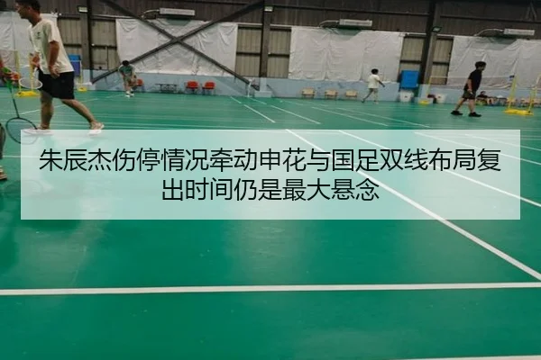 img_1779866952499_24_1_317.jpg