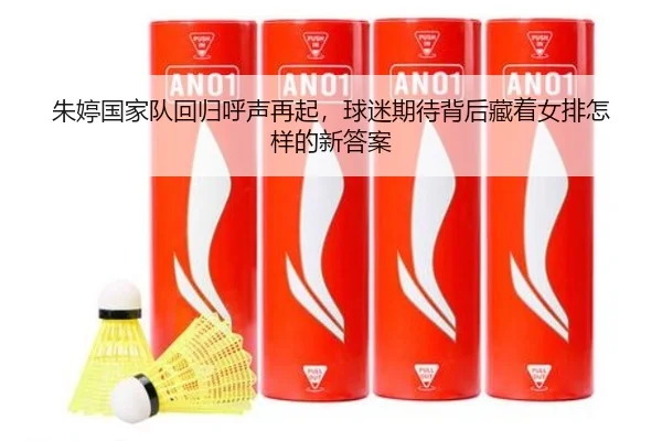 朱婷国家队回归呼声再起，球迷期待背后藏着女排怎样的新答案 | wanmeizhenren